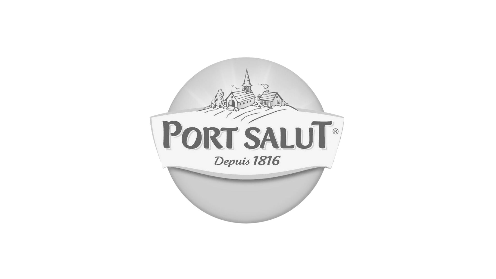 logo_portsalut